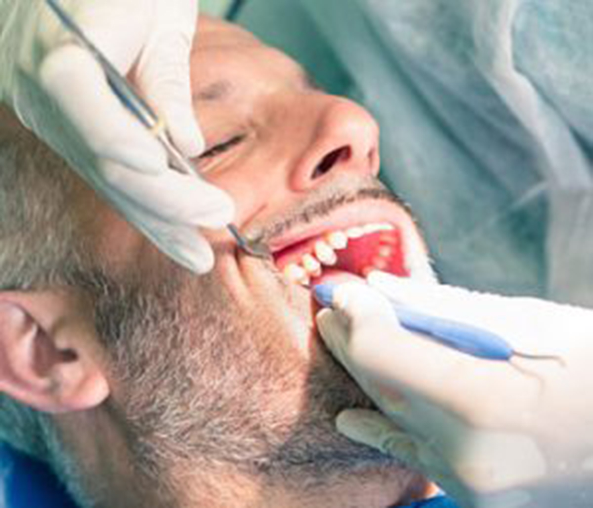 Dentists For Holistic Treatment Reviews , Carl Mcmillan, Dmd, Pa